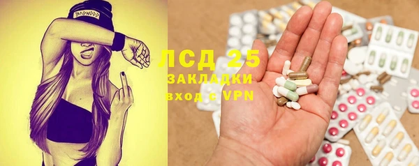 крисы Корсаков