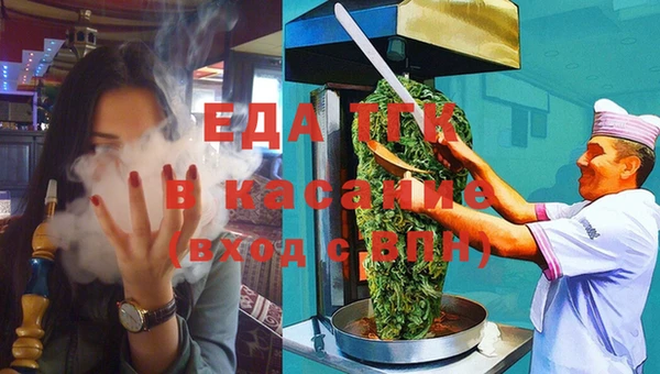 крисы Корсаков
