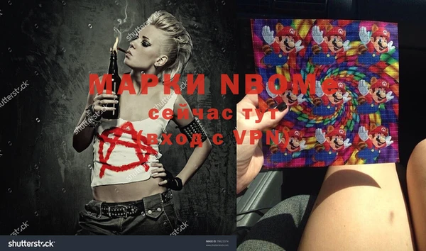 крисы Корсаков