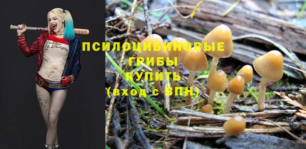 дживик Коряжма