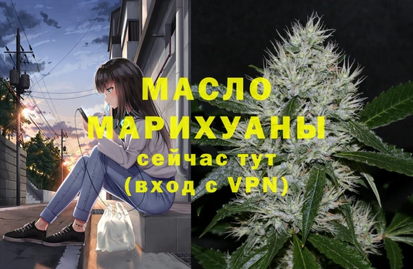 крисы Корсаков