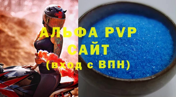 крисы Корсаков