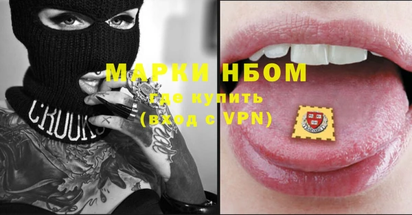 крисы Корсаков