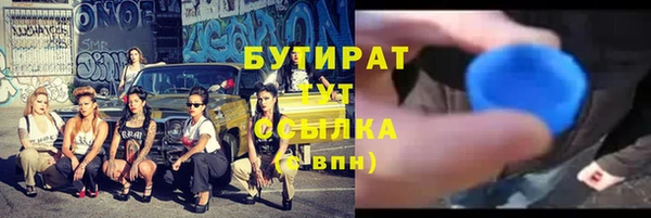 крисы Корсаков