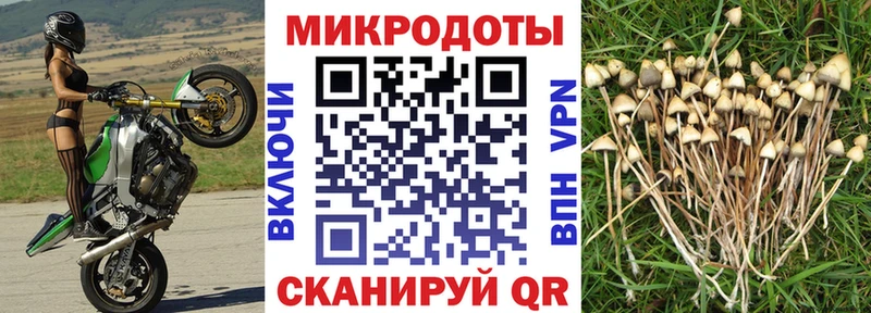 купить наркотики цена  Лянтор  Галлюциногенные грибы GOLDEN TEACHER 