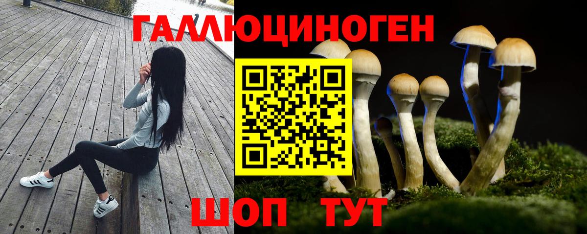 Галлюциногенные грибы Psilocybine cubensis  Вход с VPN  Лянтор 