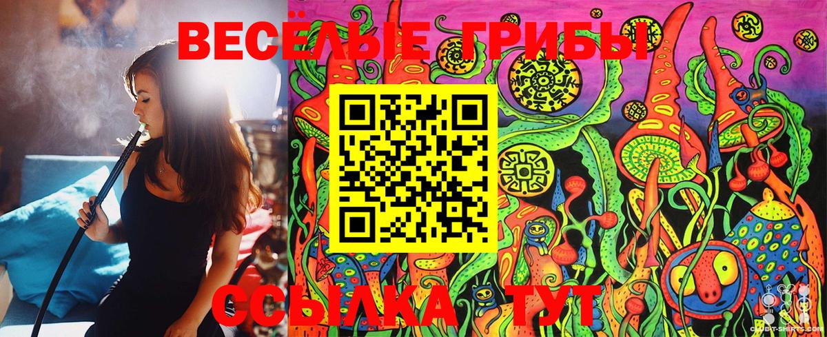 Псилоцибиновые грибы MAGIC MUSHROOMS  Вход с VPN  купить  цена  Псилоцибиновые грибы Cubensis  Лянтор 